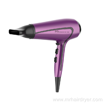 Household Ionic Hair Dryer with DC Motor